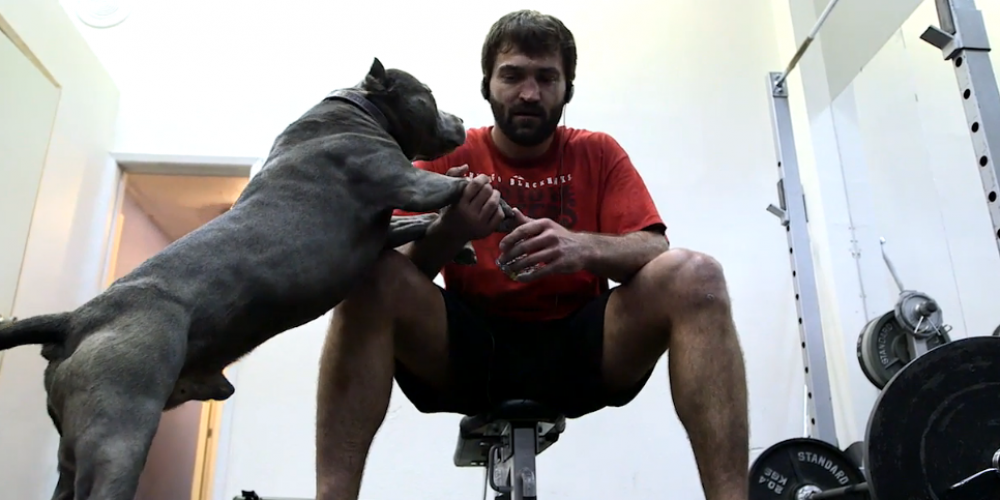 Mixed Martial Arfs - Andrei Arlovski and Maximus