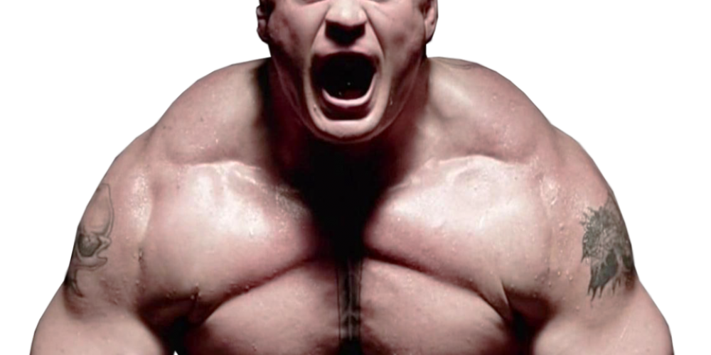 UFC comeback voor Brock Lesnar?  