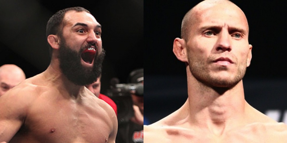 Hendricks en Cerrone contenders voor welterweight en lightweight divisie