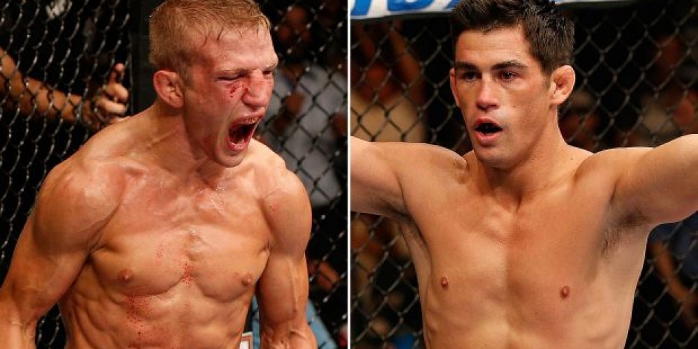 TJ Dillashaw verdedigd titel tegen Dominick Cruz