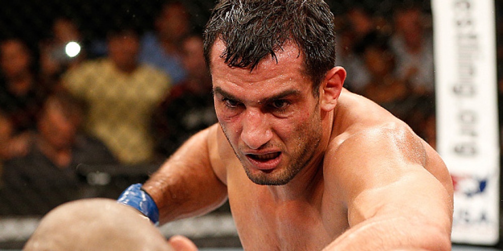 Gegard Mousasi Highlights