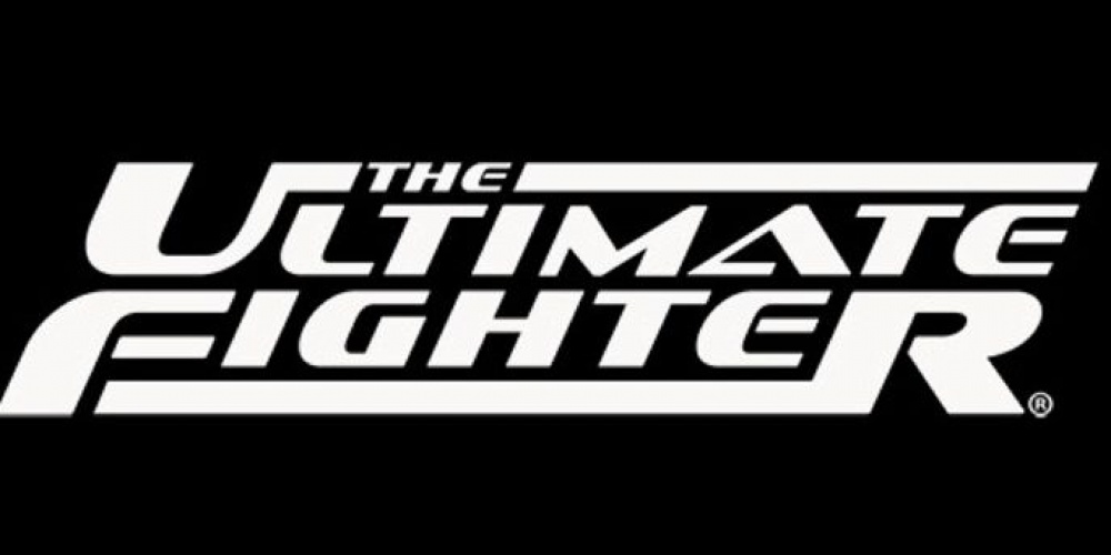 The Ultimate Fighter 25 Finale: Johnson vs. Gaethje