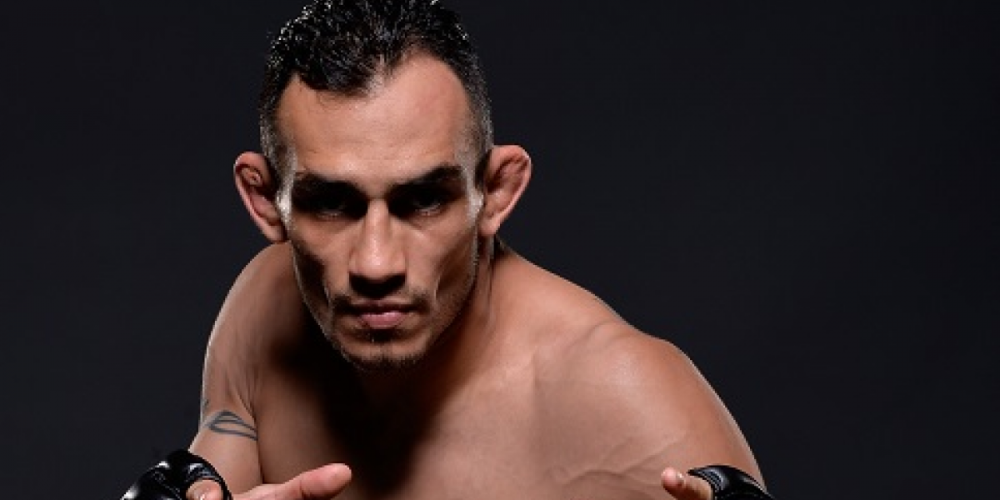 Tony Ferguson ALL KNOCKOUTS in TUF