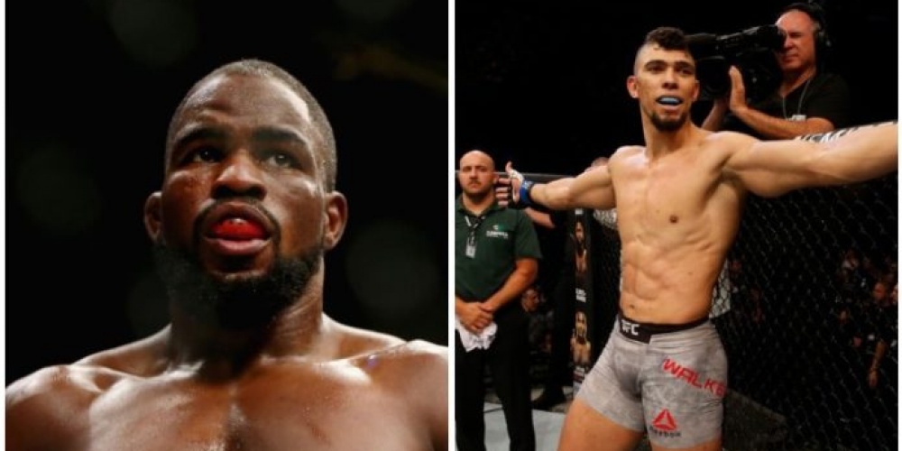 'Corey Anderson vs. Johnny Walker op UFC 244'