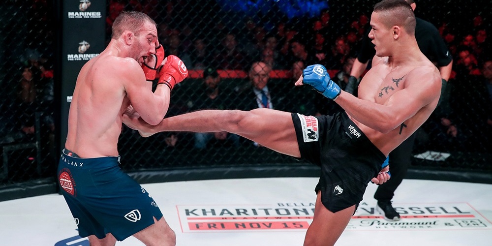 Bellator 233: John Salter vs. Costello van Steenis